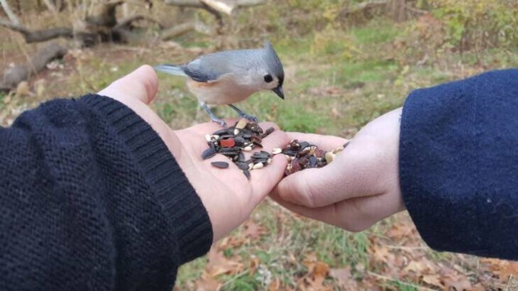 Всё вразнобой 