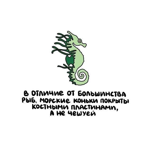 А вдруг ты не знал…