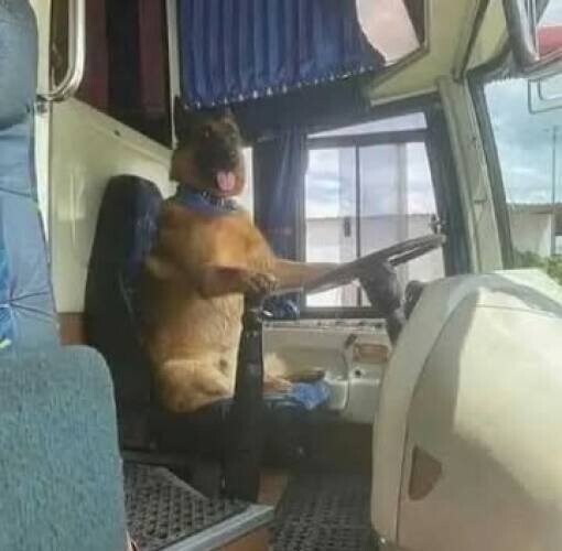 Намешалось