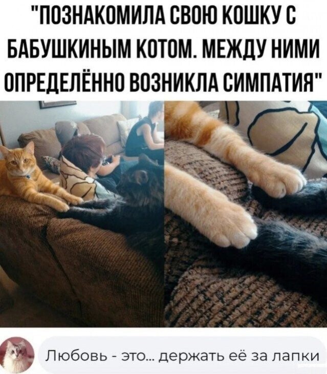 Не ищите здесь смысл. Здесь в основном маразм