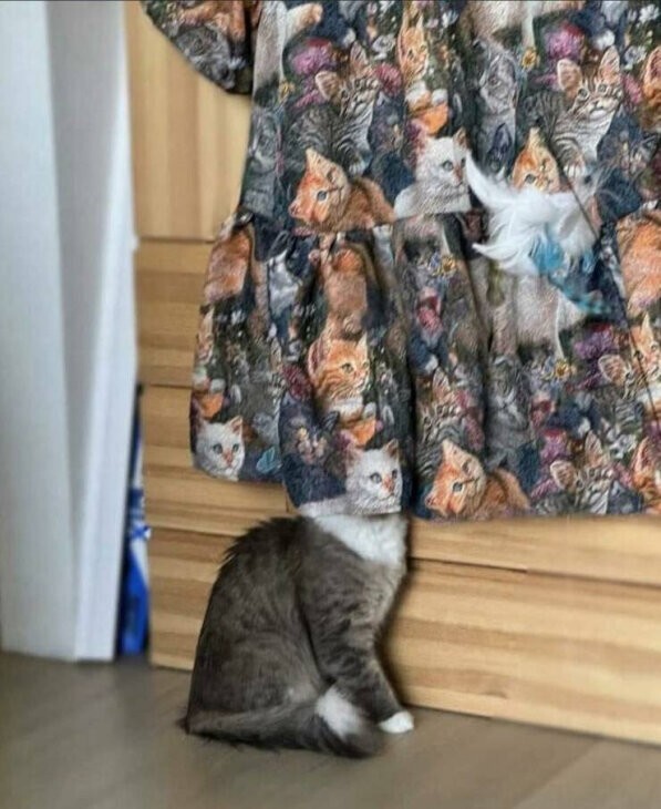 Всё вразнобой 