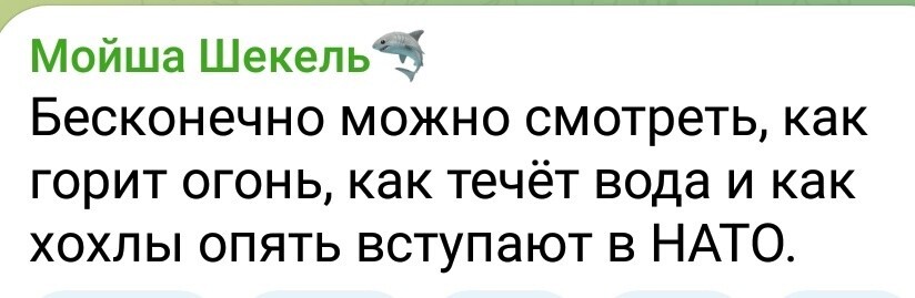 О политике и не только