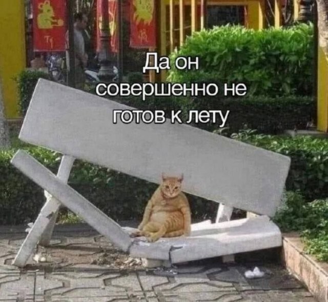 Скрины из соцсетей            