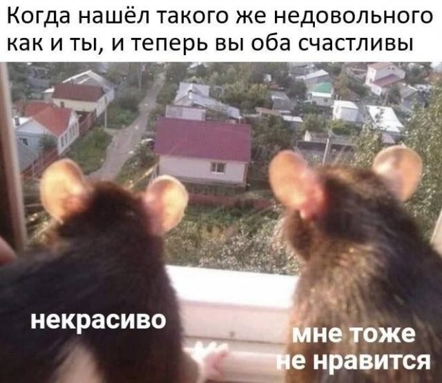 Скрины из соцсетей            