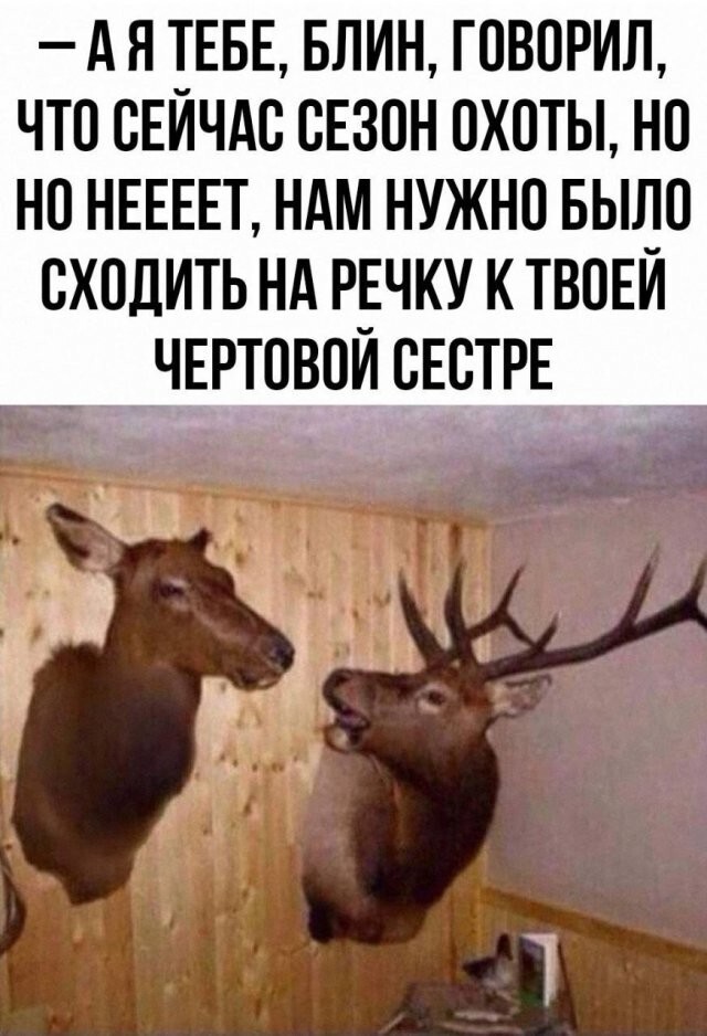 Скрины из соцсетей            