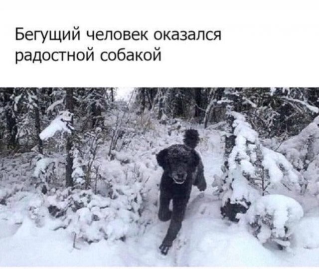 Скрины из соцсетей            