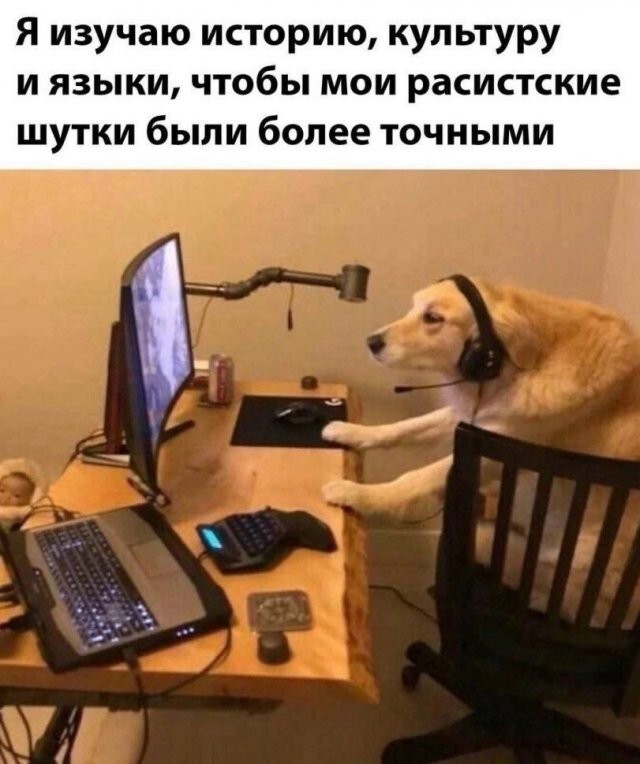 Скрины из соцсетей            