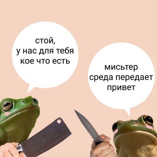 Скрины из соцсетей            