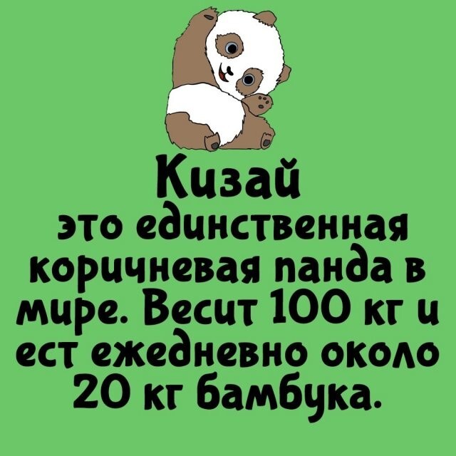 А вдруг ты не знал…