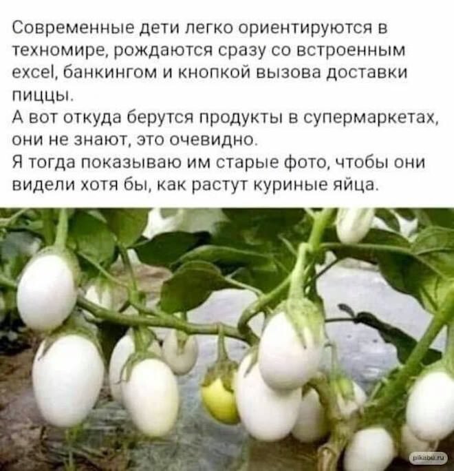 Смешные картинки
