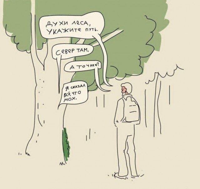 Не ищите здесь смысл. Здесь в основном маразм