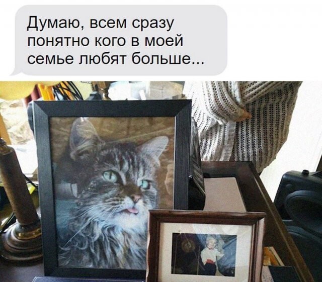 Не ищите здесь смысл. Здесь в основном маразм