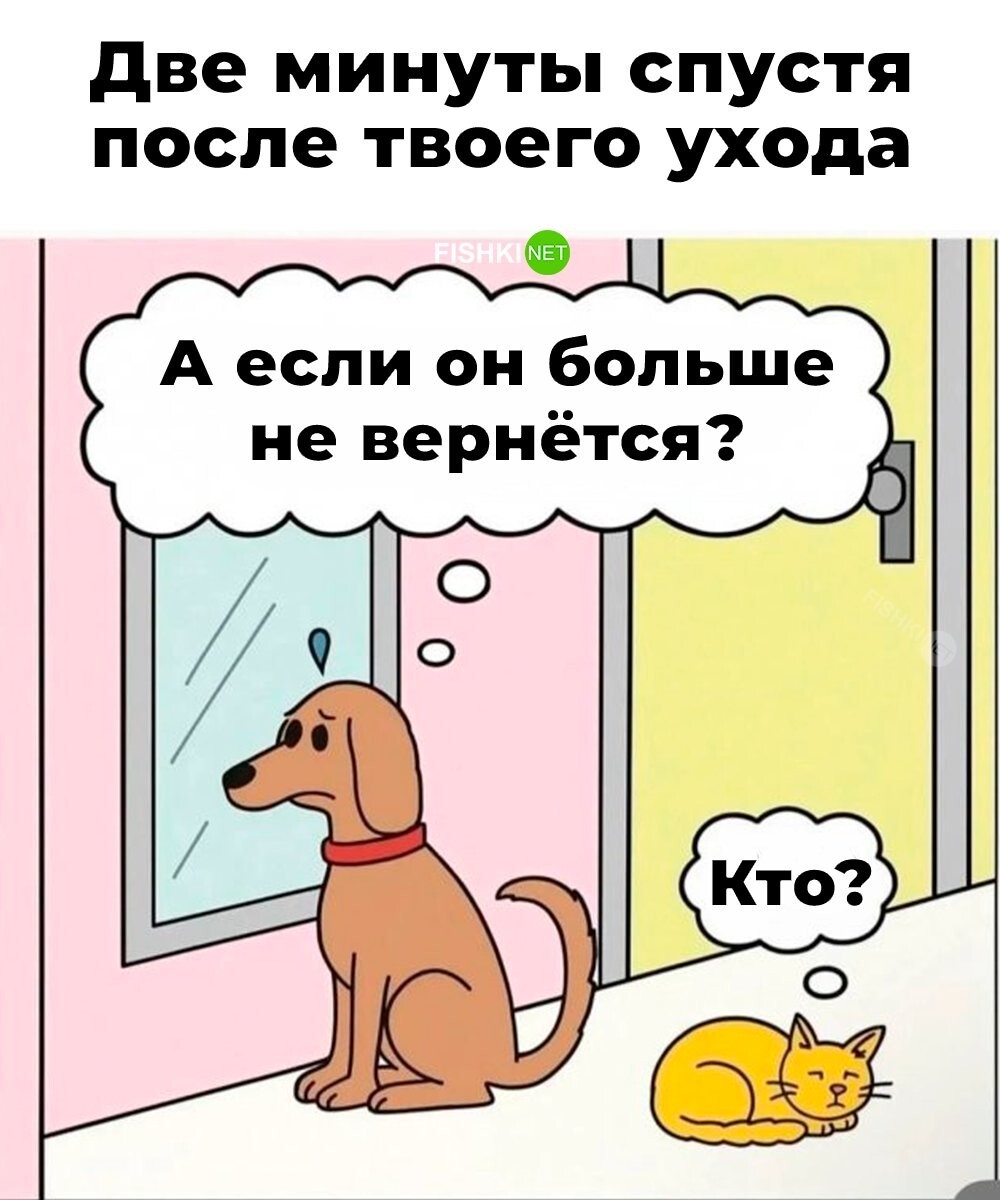 Не ищите здесь смысл. Здесь в основном маразм