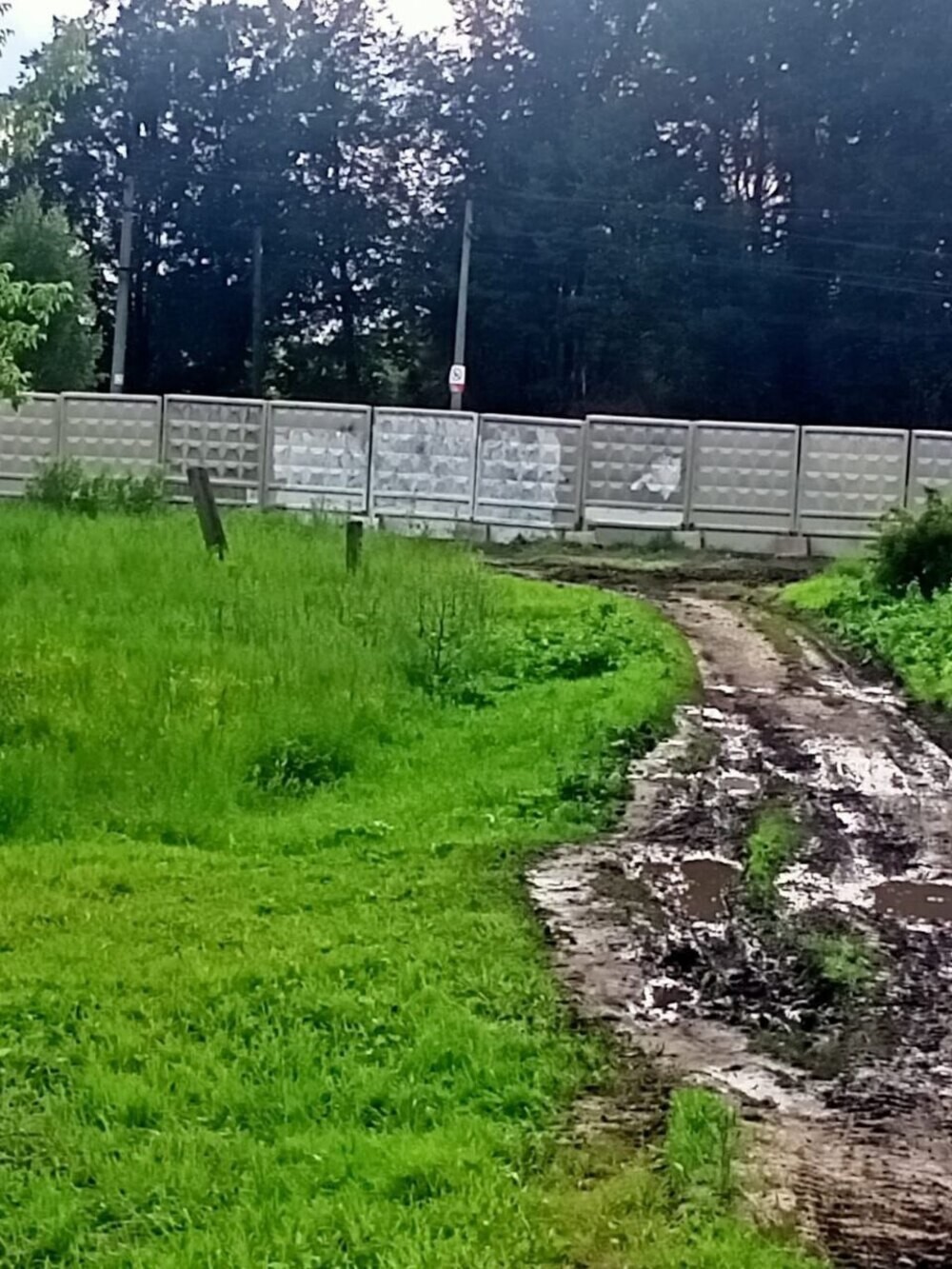 Власти и жители Наро-Фоминска устроили противостояние из-за тропинки