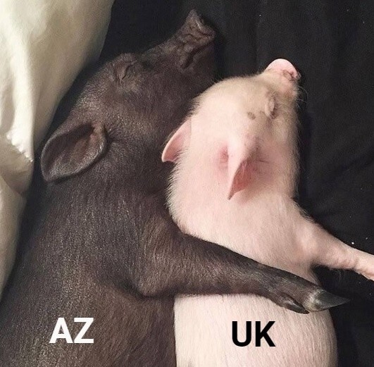 Лишь о политике
