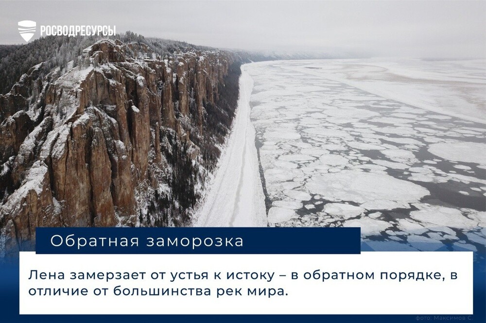 Лишь о политике