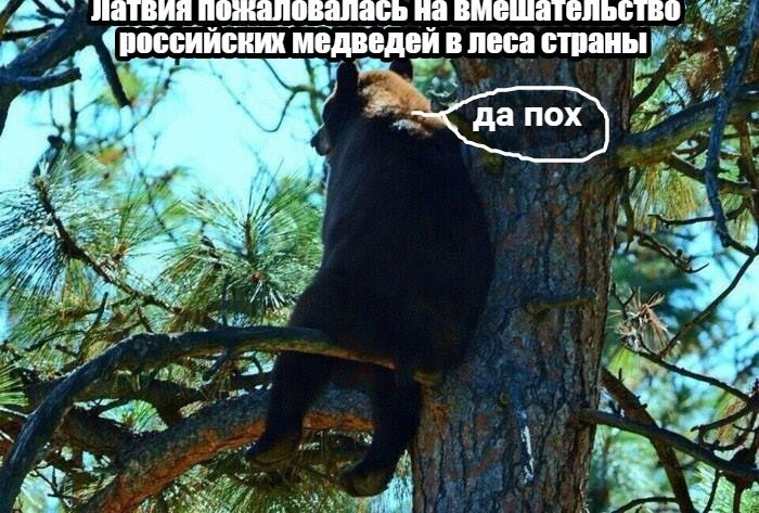 Лишь о политике