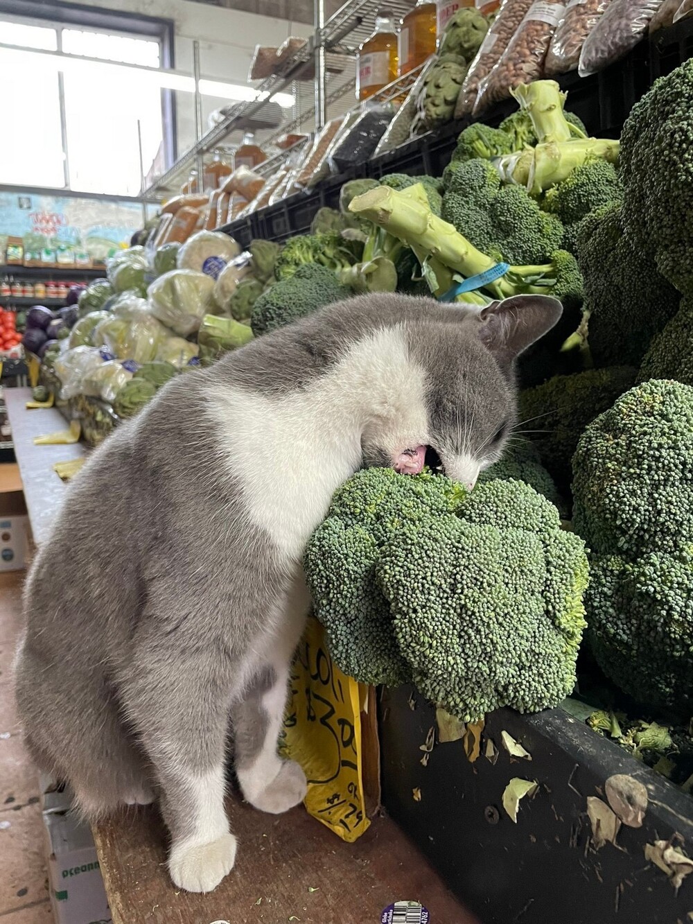 На общую тему 