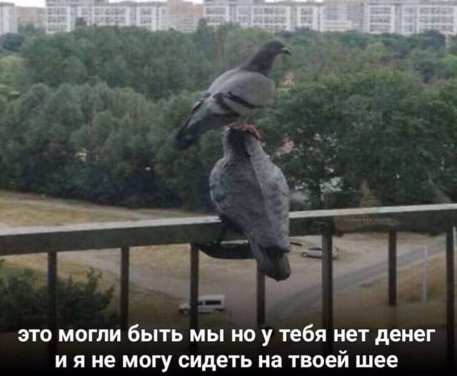 Скрины из соцсетей            
