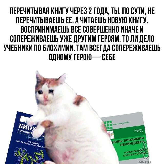 Скрины из соцсетей            