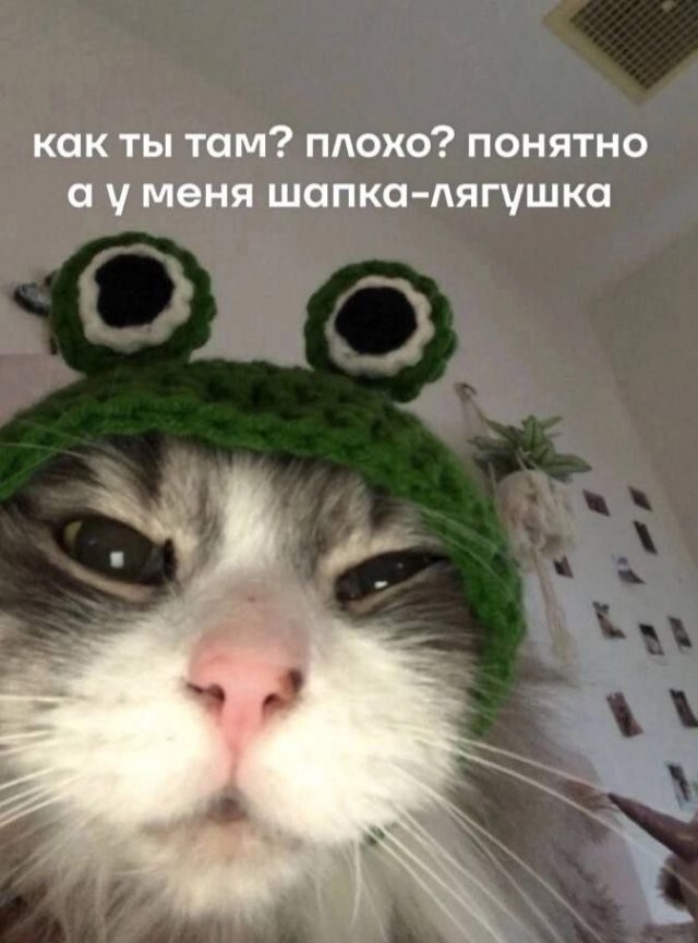 Скрины из соцсетей            
