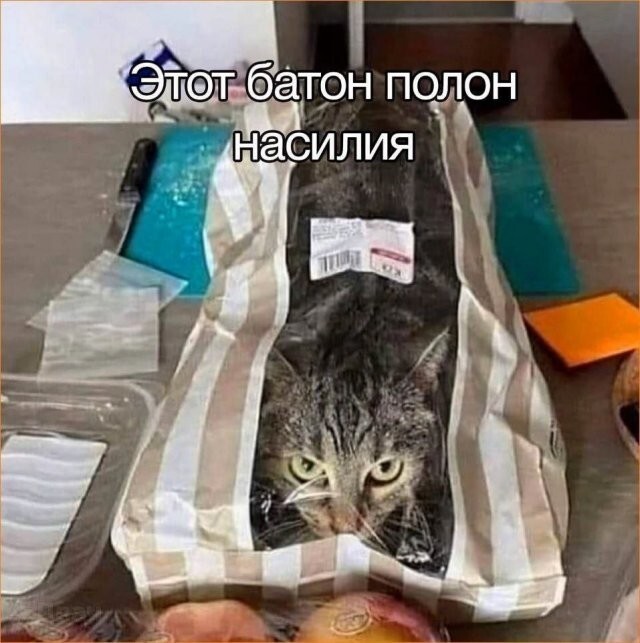 Скрины из соцсетей            