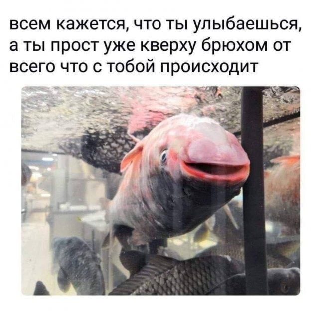 Скрины из соцсетей            