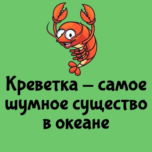 А вдруг ты не знал…
