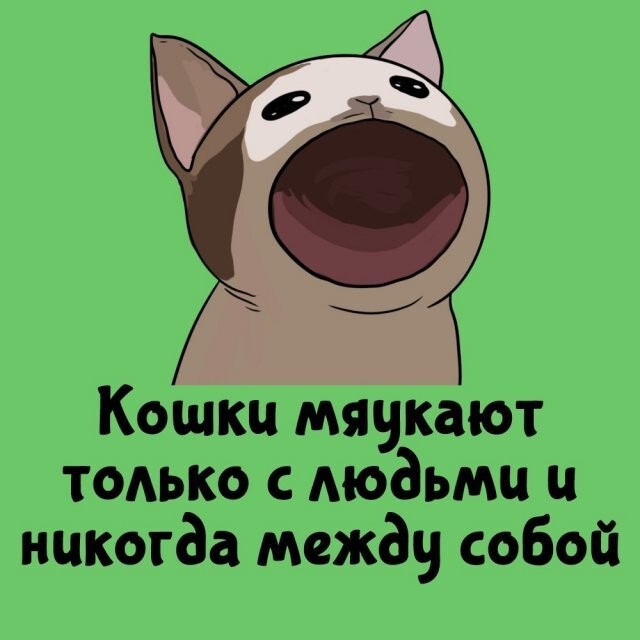 А вдруг ты не знал…