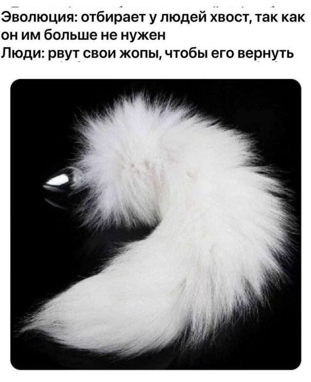 Не ищите здесь смысл. Здесь в основном маразм