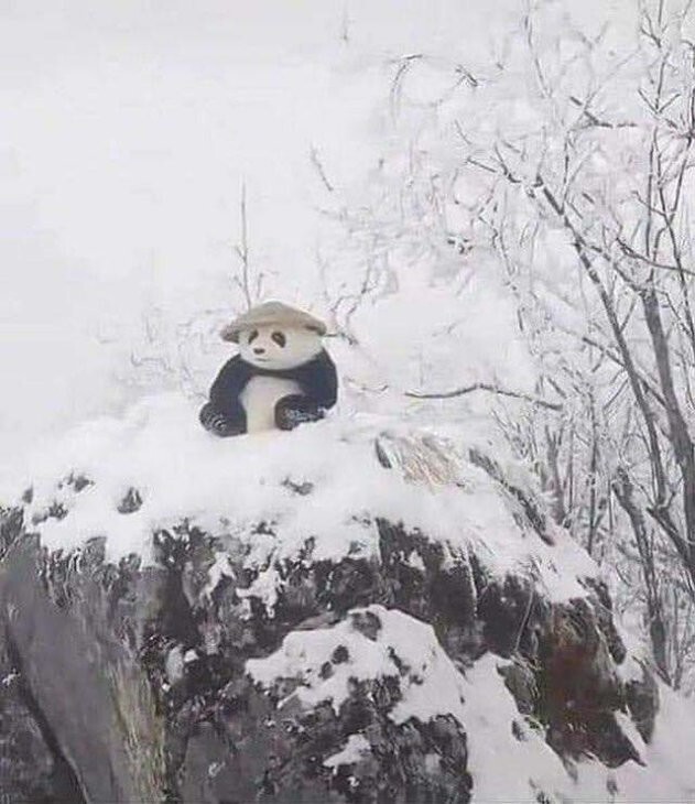 Всё вразнобой 