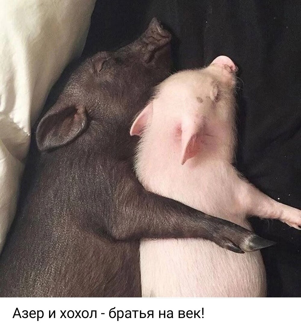 Политика , ох , политика