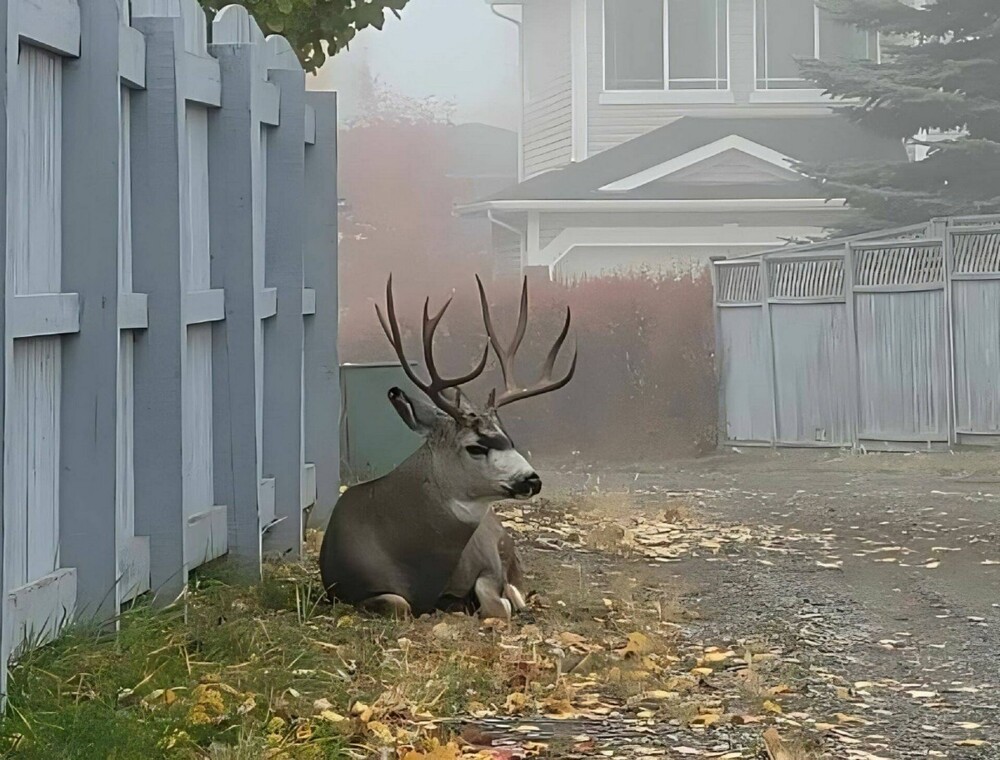 На общую тему 