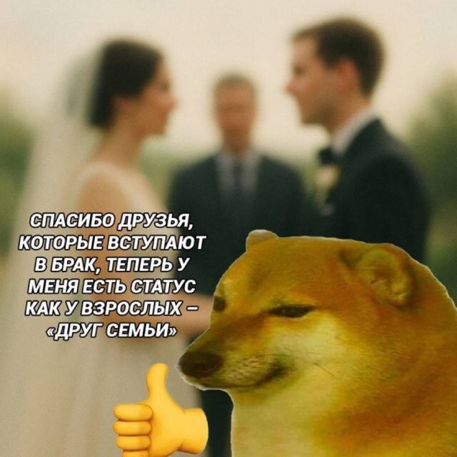 Скрины из соцсетей            