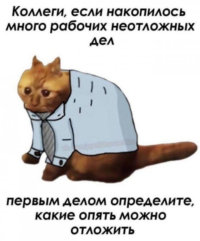 Скрины из соцсетей            