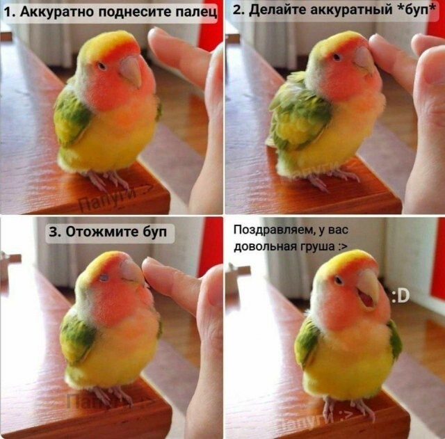 Скрины из соцсетей            
