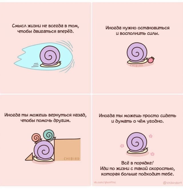 Скрины из соцсетей            