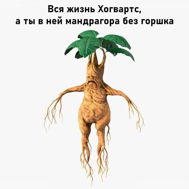 Скрины из соцсетей            