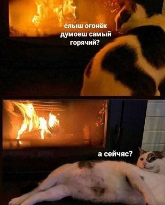 Скрины из соцсетей            