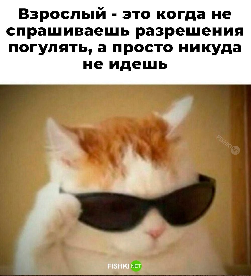 Скрины из соцсетей            