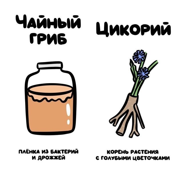 А вдруг ты не знал…