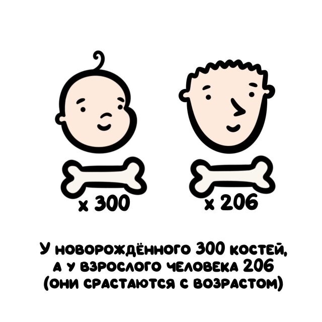 А вдруг ты не знал…