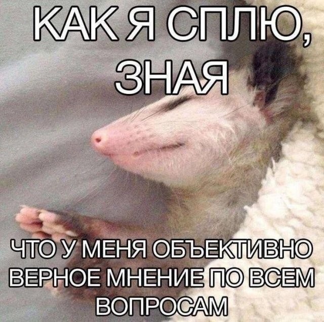 Не ищите здесь смысл. Здесь в основном маразм