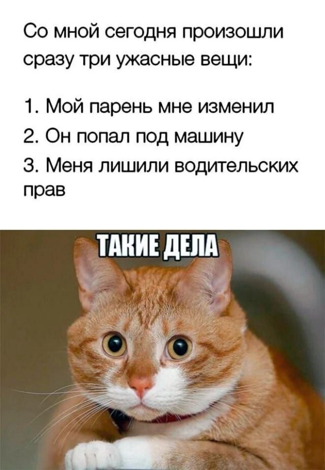 Не ищите здесь смысл. Здесь в основном маразм