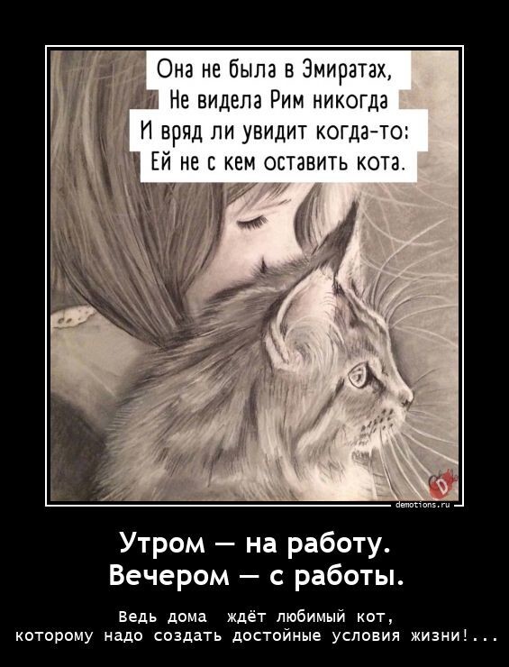 Утром - на работу. Вечером - с работы.