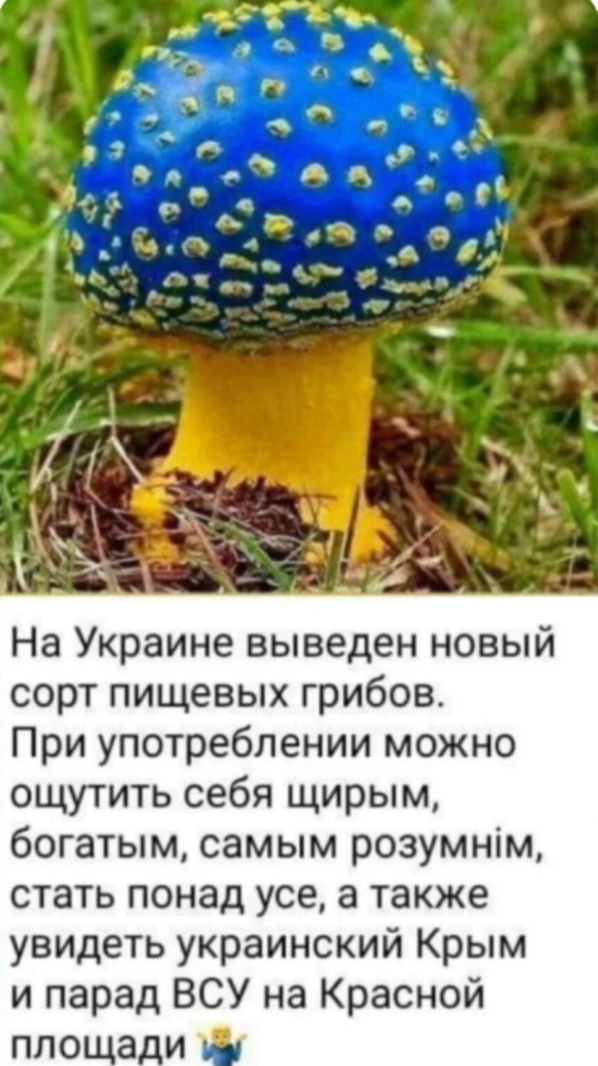 Политическое ассорти от Edyan за 06-07-2025