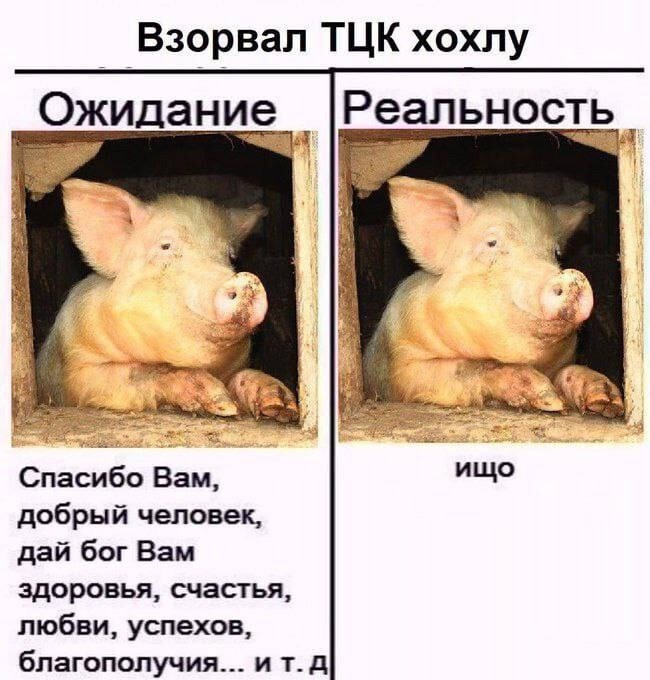 Лишь о политике , лишь о  ней одной