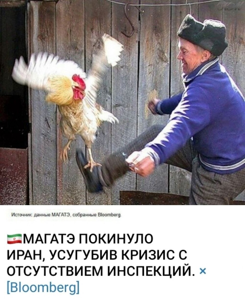 Лишь о политике , лишь о  ней одной