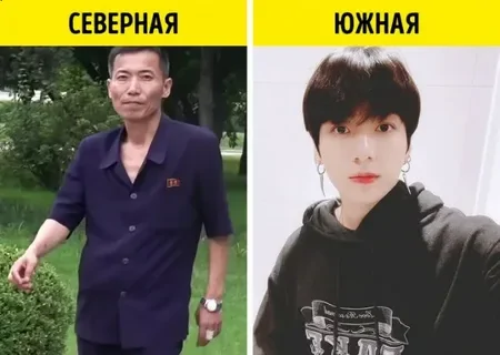 От работы кони дохнут. Северная Корея придёт и заберёт нас голыми руками