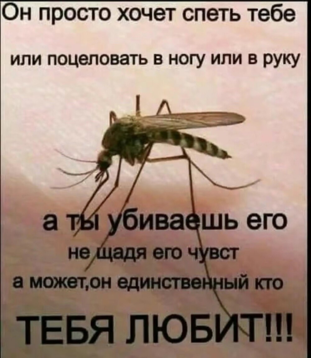 Привет, агрессоры!!! Всем хороших снов!!!